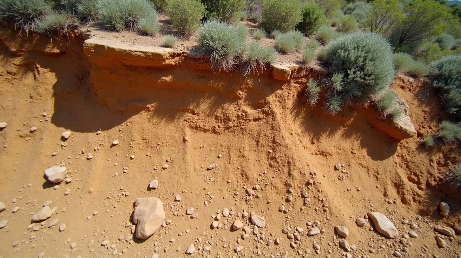 Fissure dans le sol en haut d'un talus en pente avec un léger décrochement de terrain visible